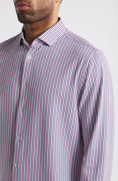 Stone Rose Trim Fit Techno Stretch Stripe Performance Button-up Shirt In Med Pink