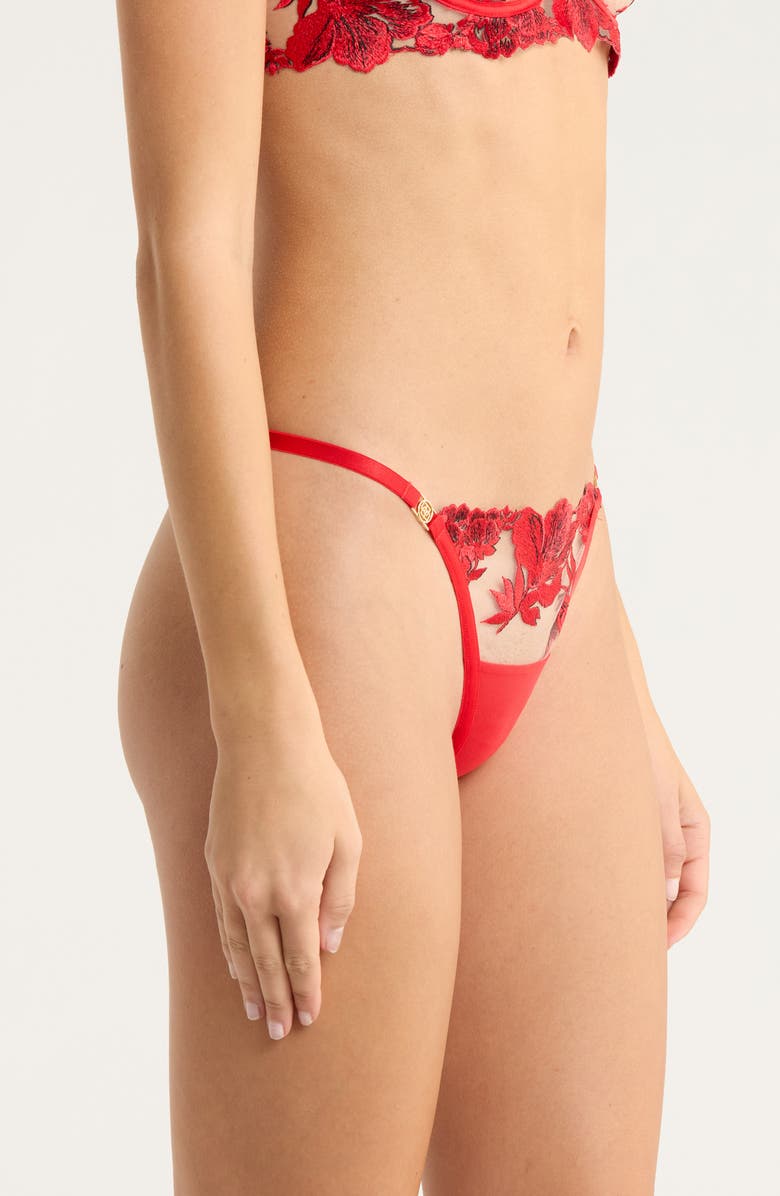 Bluebella Lavanya Embroidered Satin & Mesh Thong, Alternate, color, Red/ Black/ Sheer