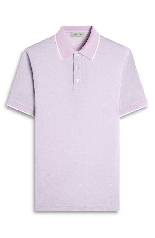 Bugatchi Tipped Piqué Cotton Polo In Lilac