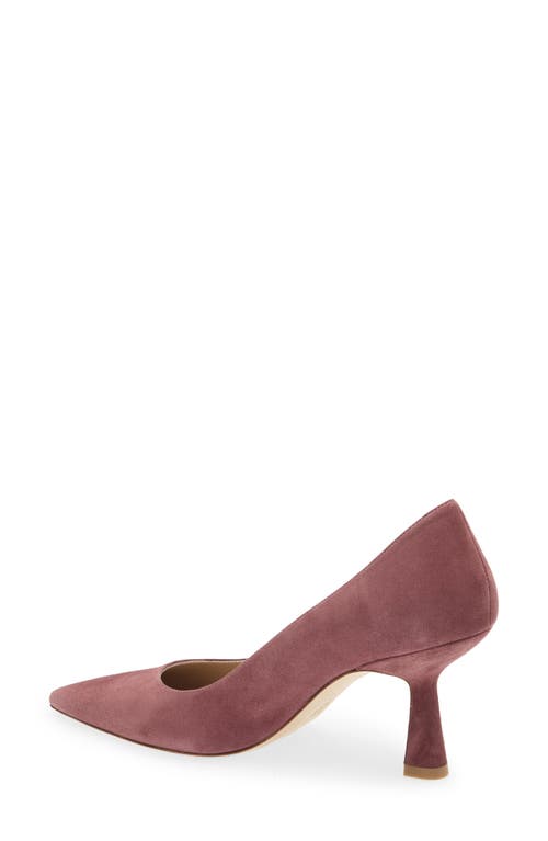Stuart Weitzman Stuart Susculpt 75 In Purple
