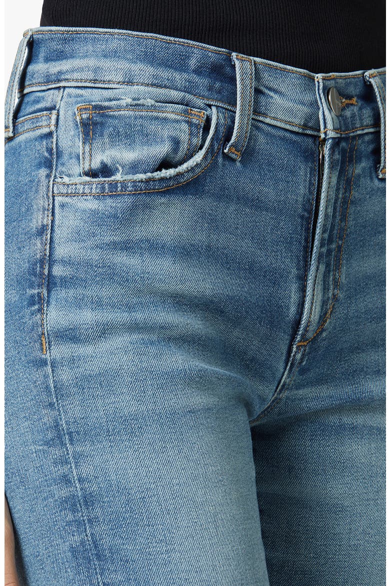 The Icon Ankle Skinny Jeans, Alternate, color, PEPPERMILL