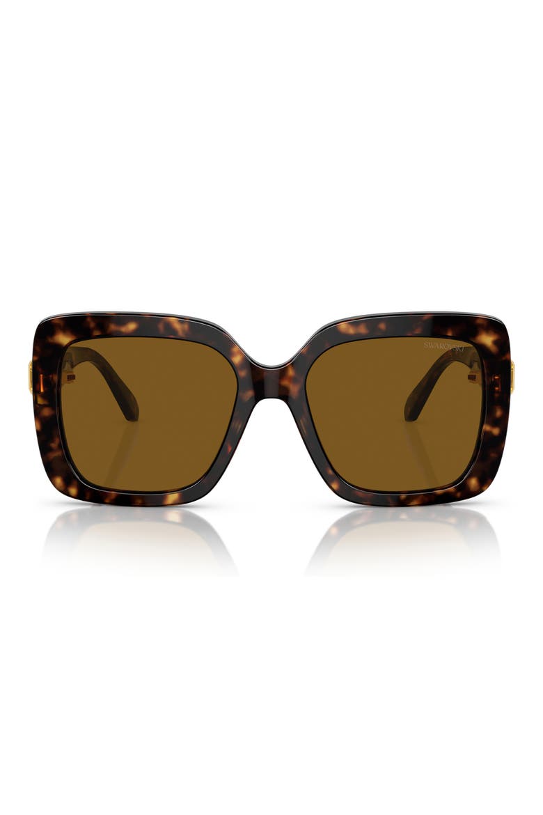55mm Polarized Square Sunglasses, Main, color, HAVANA / POLAR BROWN