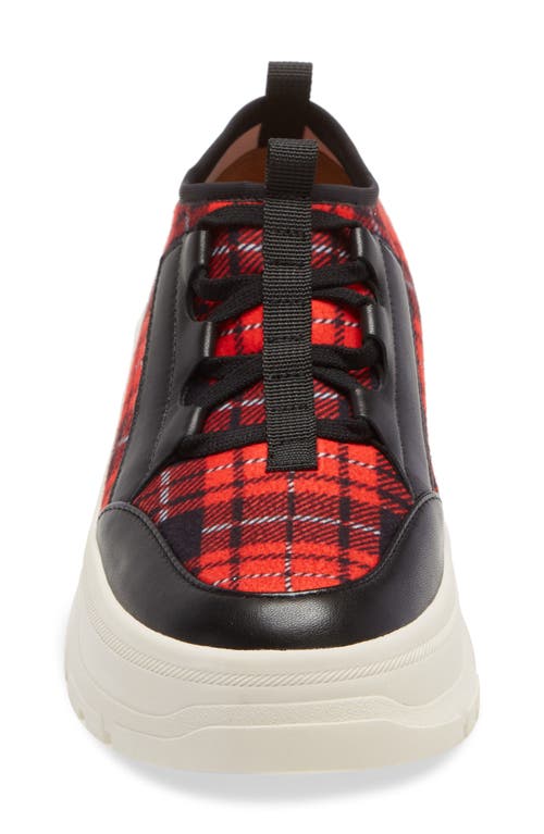 Linea Paolo Rowen Sneaker In Multi