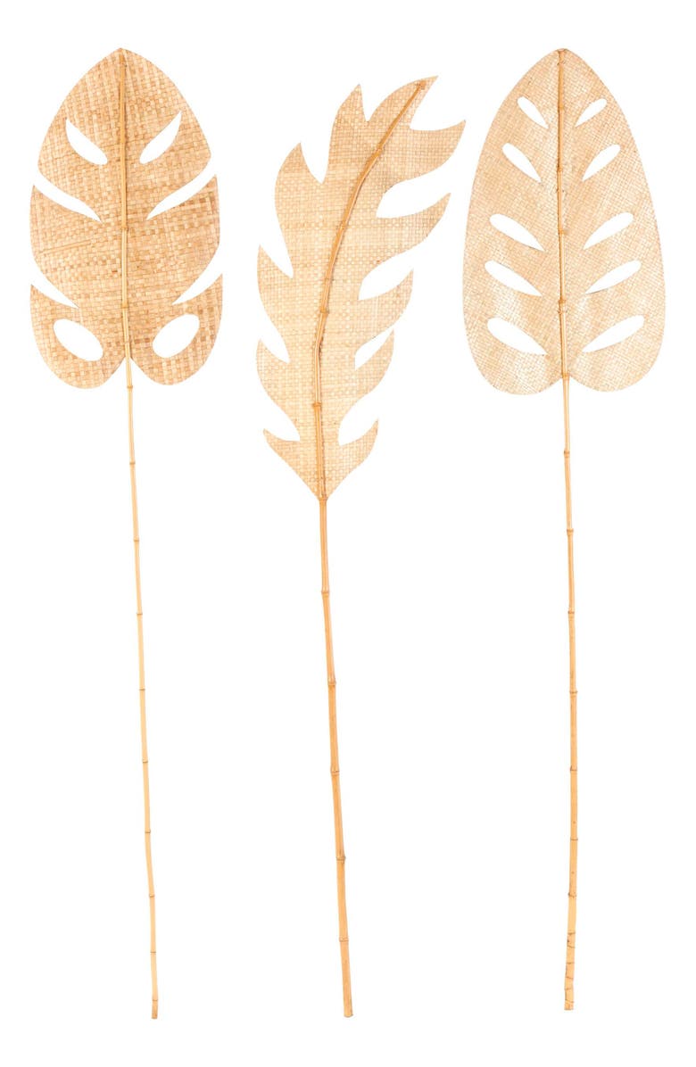 SONOMA SAGE HOME 3-Piece Natural Dried Bamboo Leaf Foliage, Alternate, color, Light Brown