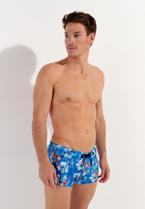 Hom Colibris Swim Shorts In Blue Print