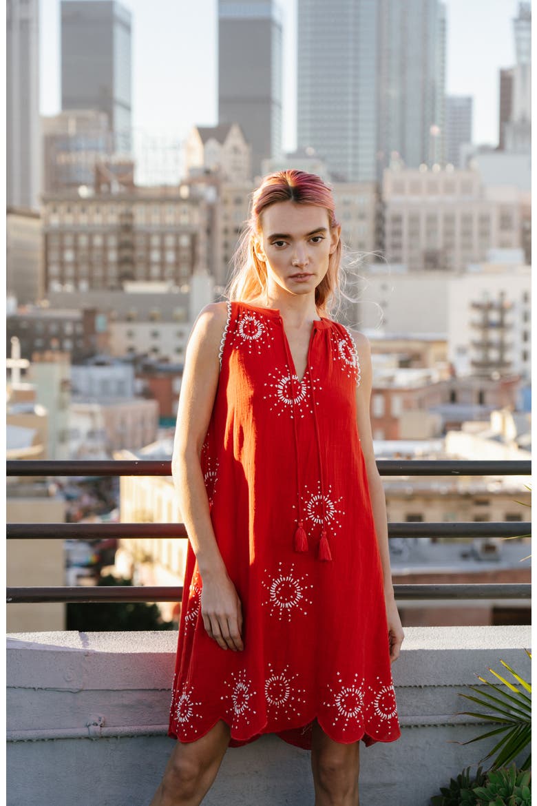 Kailani Embroidered Sleeveless A-Line Dress, Alternate, color, RED