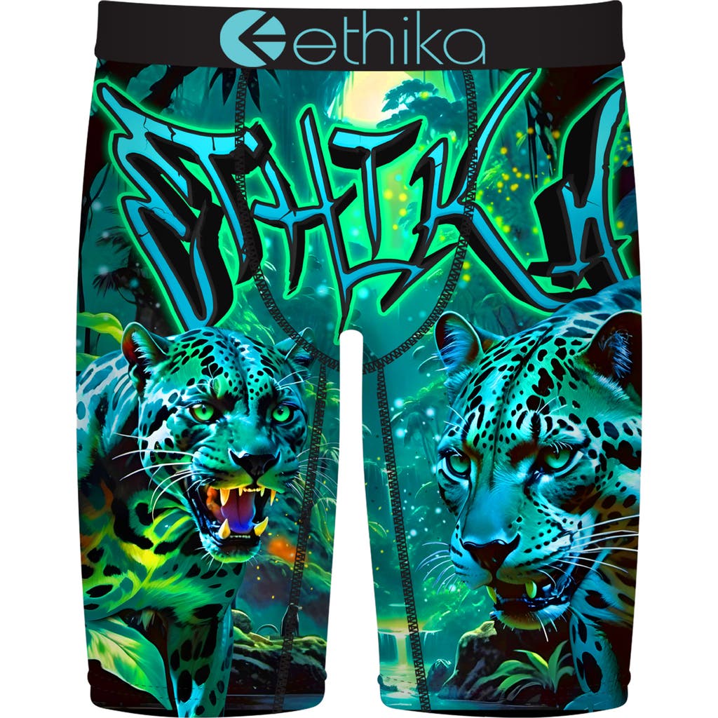 Ethika Boys Graphic Briefs In Green
