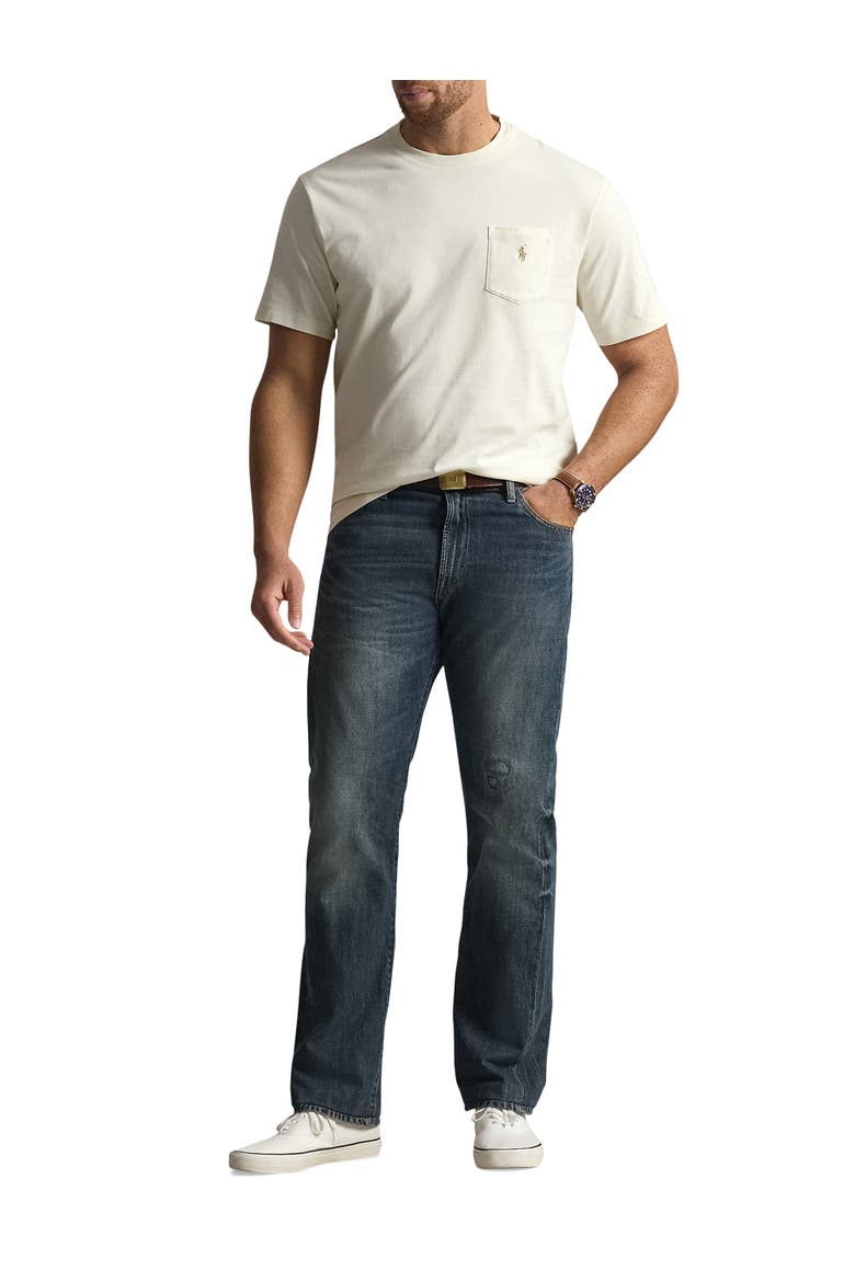 Big & Tall Classic Fit Jersey Crewneck Pocket Tee, Alternate, color, PARCHMENT CREAM