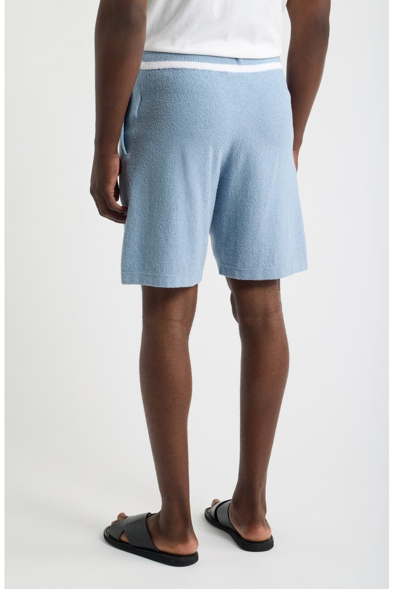 Armas Cotton Blend Shorts, Alternate, color, POWDER BLUE