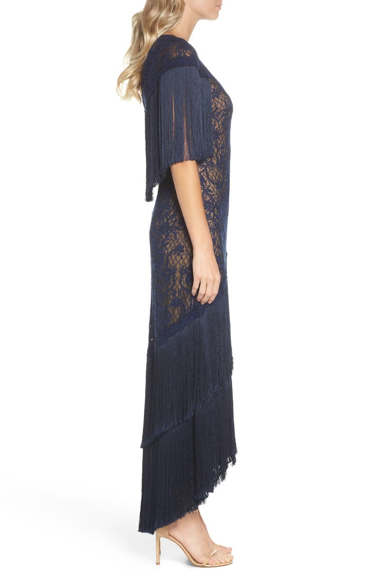 Tadashi Shoji Embroidered Mesh & Fringe Gown, Alternate, color, 