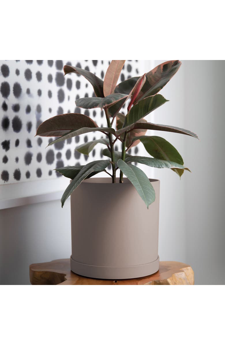 Bloem 12 Inch Mathers Round Planter With Saucer Tray, Pebble Stone, Alternate, color, Beige