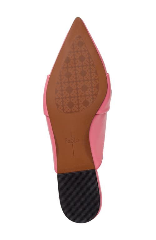 Linea Paolo Agneta Mule