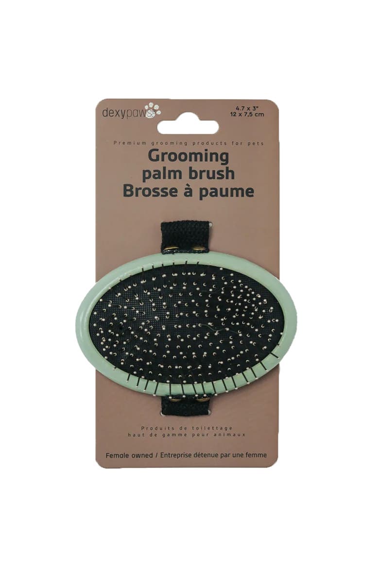 Pet Grooming Palm Brush, Sage Green, Dog & Cat Grooming Tool, Main, color, Green