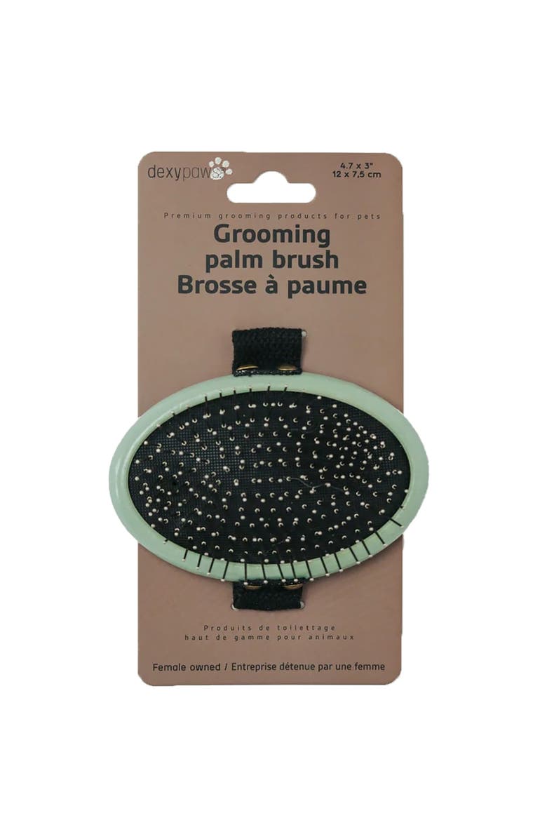 Dexypaws Pet Grooming Palm Brush, Sage Green, Dog & Cat Grooming Tool, Main, color, Green