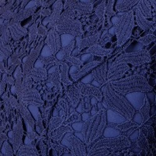Yumi Lace Midi Skater Dress In Blue