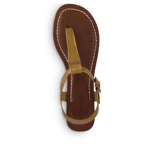 BERNARDO FOOTWEAR BERNARDO FOOTWEAR GOYA T-STRAP SANDAL 