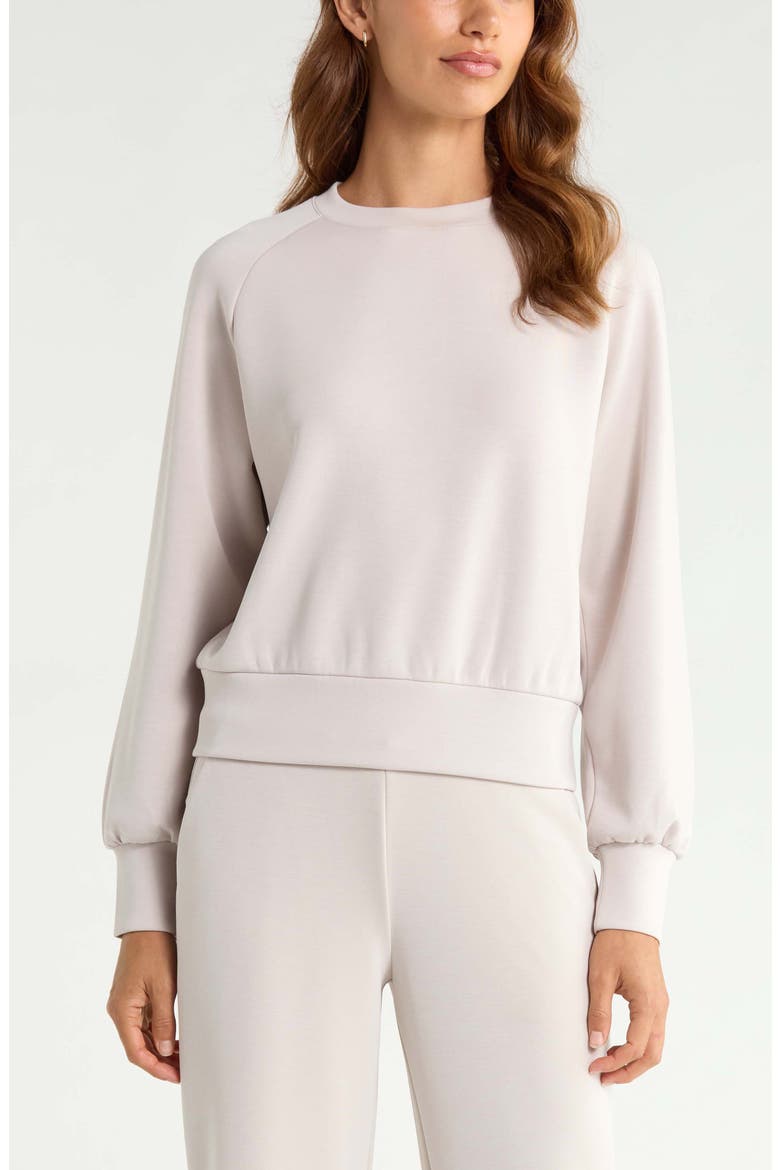 Soft Luxe Crewneck Top, Main, color, GREY PEBBLE