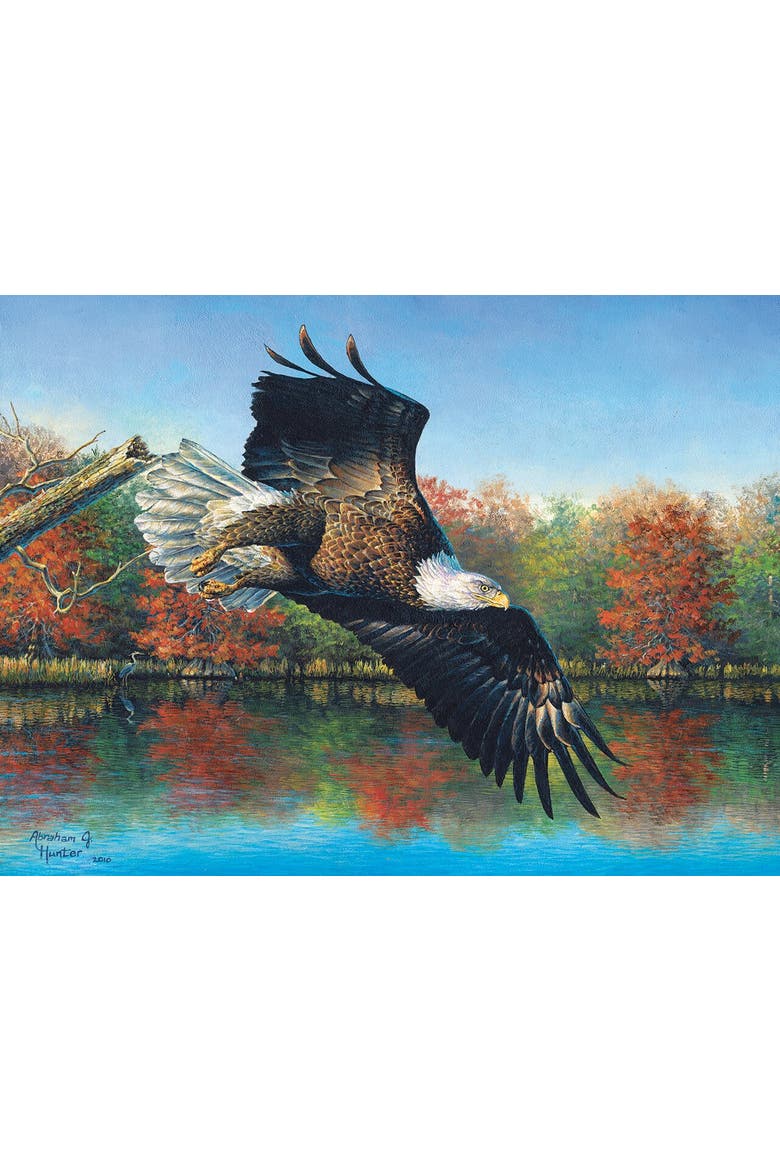 Wetlands Eagle a 1000 piece Jigsaw Puzzle for Adults, Alternate, color, Multicolor