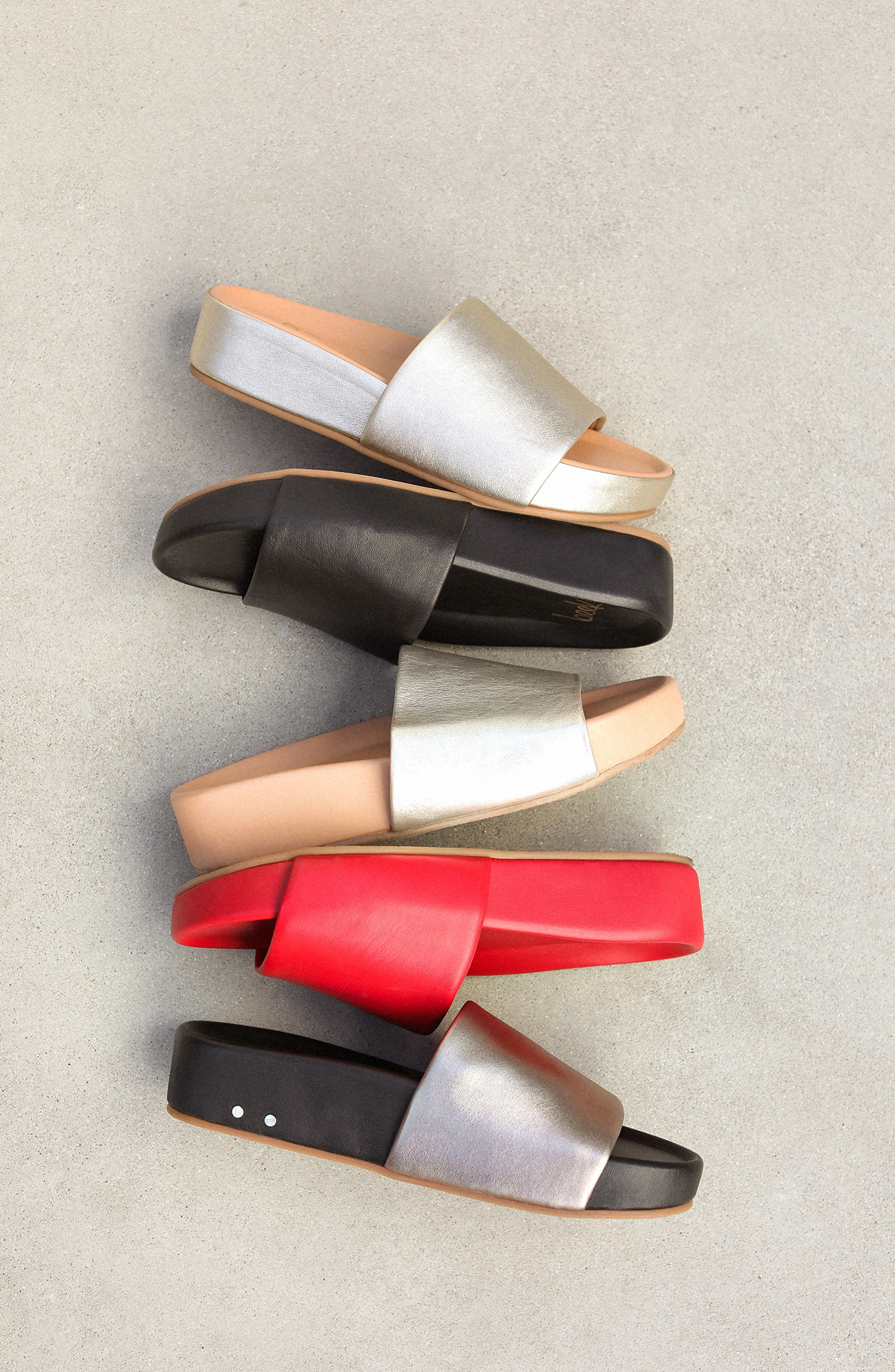 Beek Pelican Slide Sandal, Alternate, color, Black