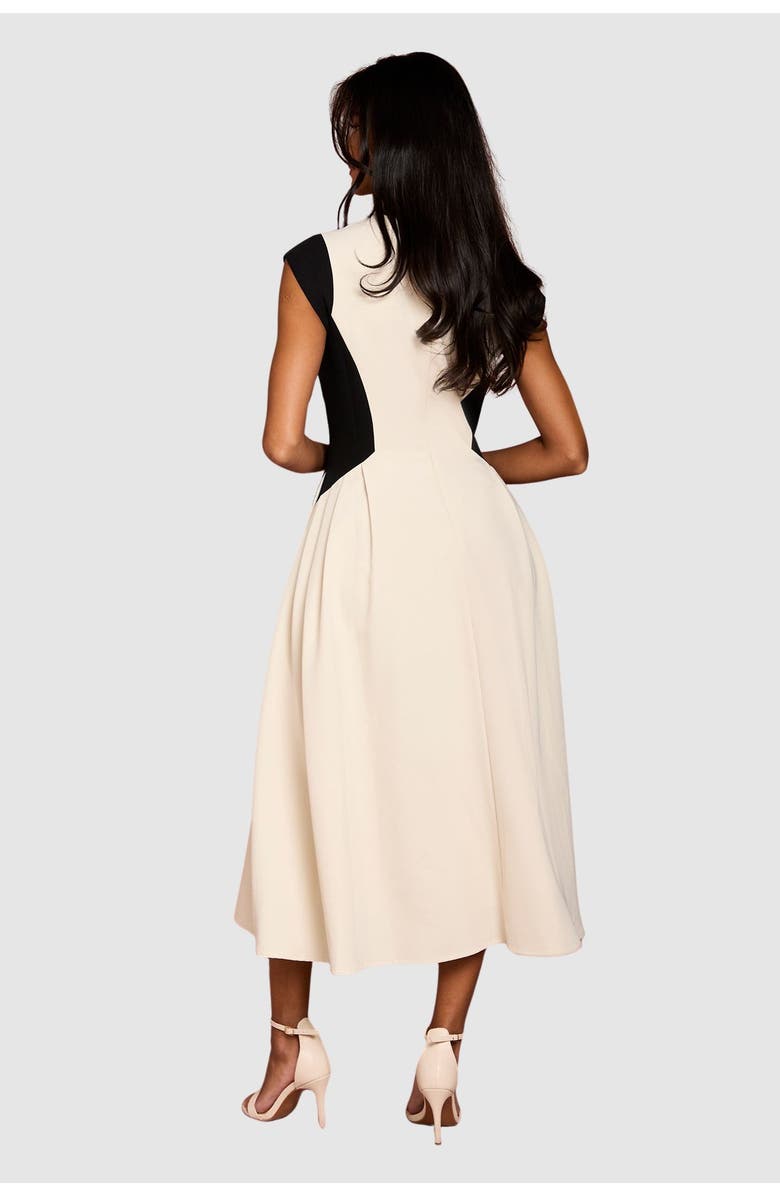 Coast Petite Crepe Colour Block Midi Dress, Alternate, color, Mono