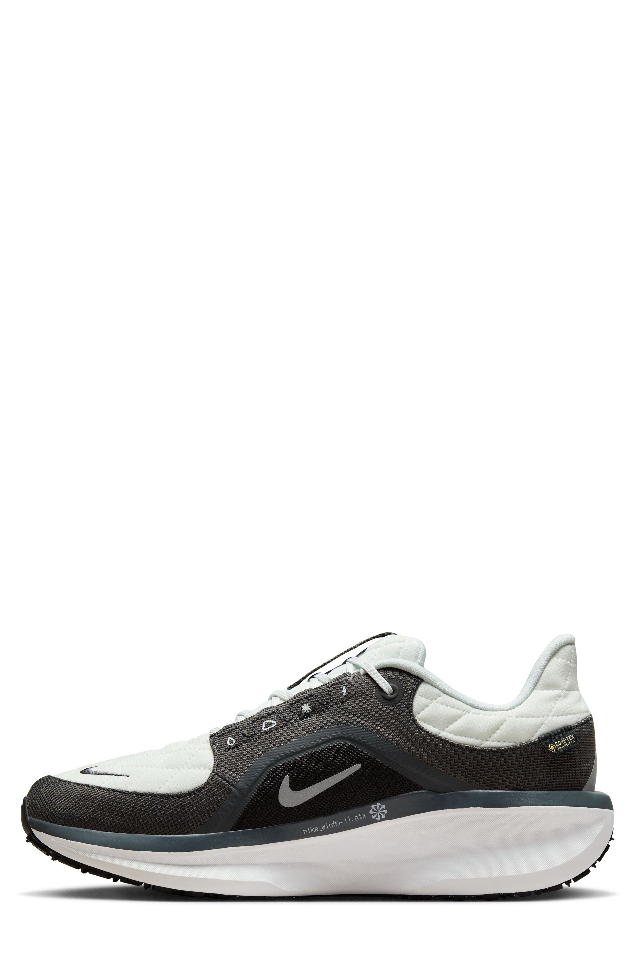 Nike Air Winflo 11 GTX Running Shoe, Alternate, color, 004 Anthra/M Silv