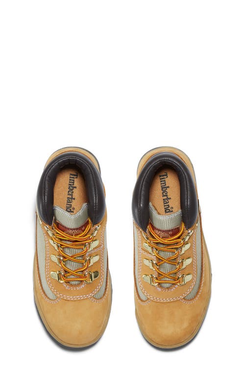 Timberland Kids' Field Mixed Media Boot In Wheat