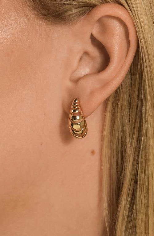Sterling Forever Carla Coiled Teardrop Earrings In Gold