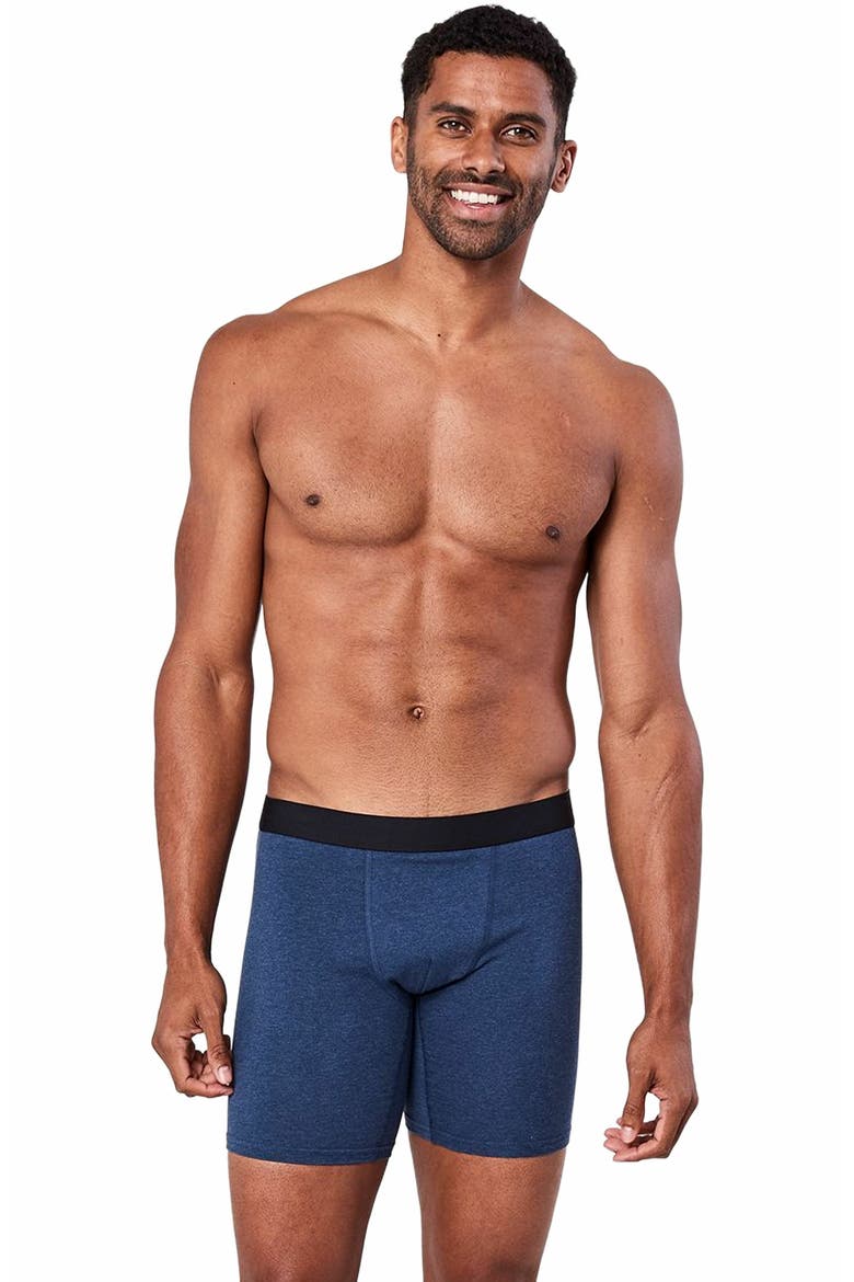 Organic Cotton Everyday Extended Boxer Brief 4-Pack, Alternate, color, Classic Neutrals