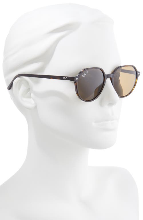 Ray Ban Ray-ban Thalia 53mm Polarized Square Sunglasses In Brown
