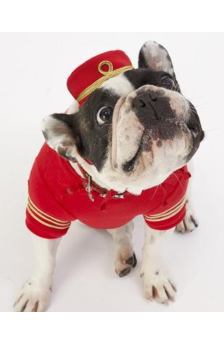 Moshiqa Empire Dog Sweatshirt, Alternate, color, Red