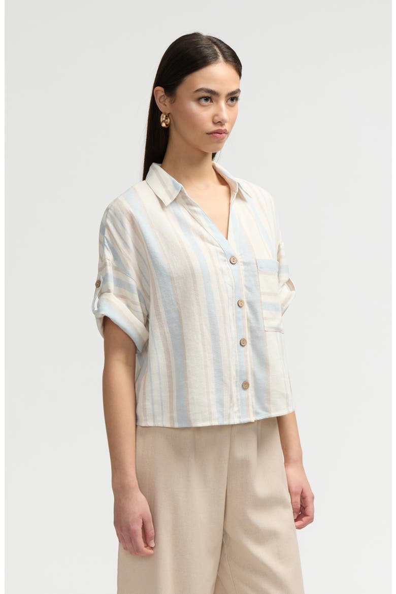 Short Sleeve Crop Button-Up Shirt, Alternate, color, BLUE NATURAL STRIPE