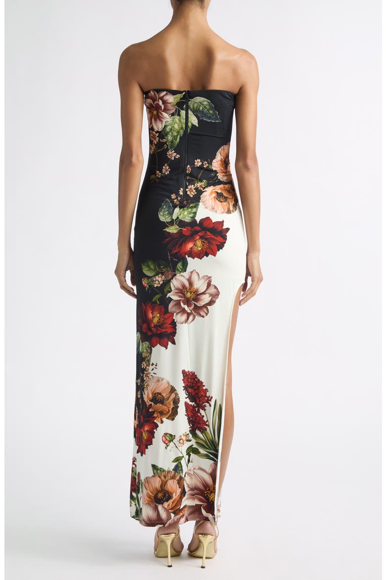 Delora Strapless Maxi Dress, Alternate, color, FLRLRDIANC