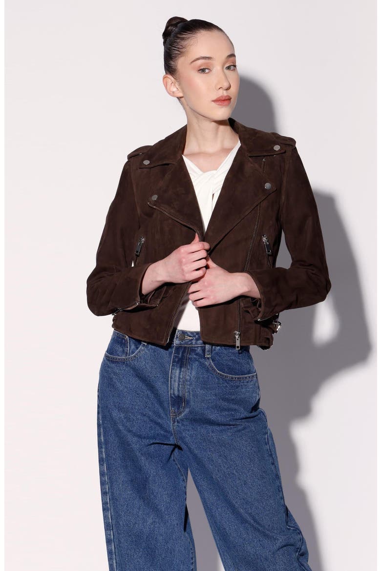 Liz Suede Jacket, Main, color, Mocha Suede