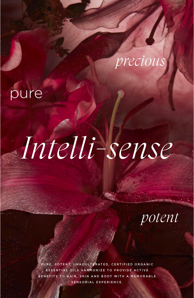 Intelligent Nutrients Flex-form Hair Spray, Alternate, color, NO COLOR