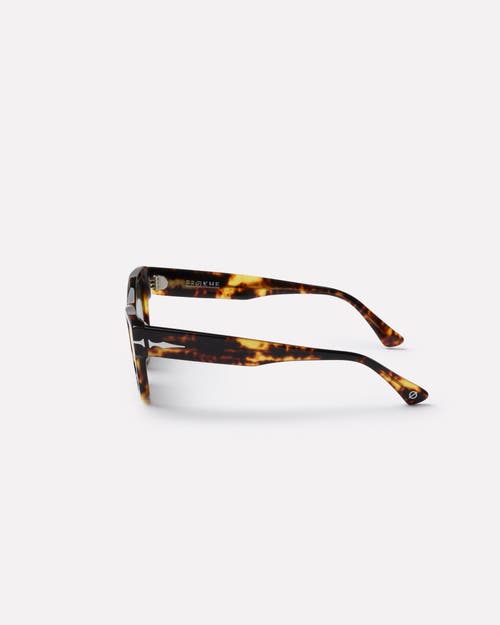 Epokhe Desire Sunglasses In Brown