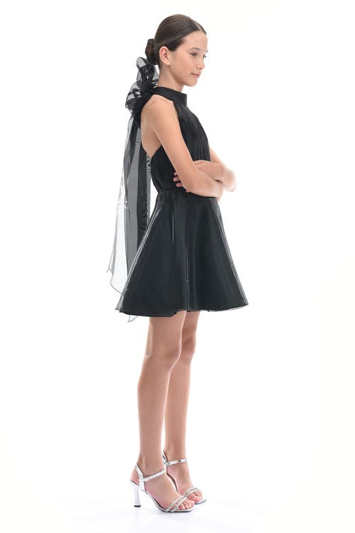 Tulleen Tivoli Dress In Black
