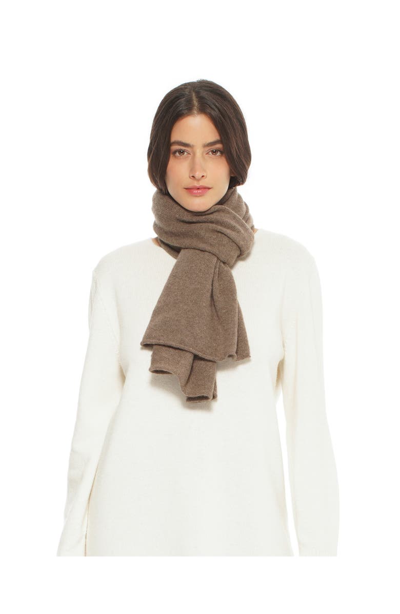 Monticelli Cashmere Pure Cashmere Cloud-Soft Scarf, Main, color, Brown