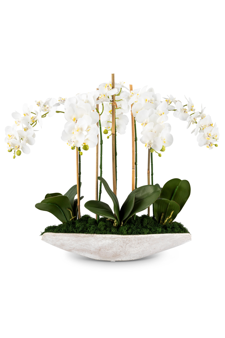 Ciara RealTouch Orchid Planter, Main, color, Snow