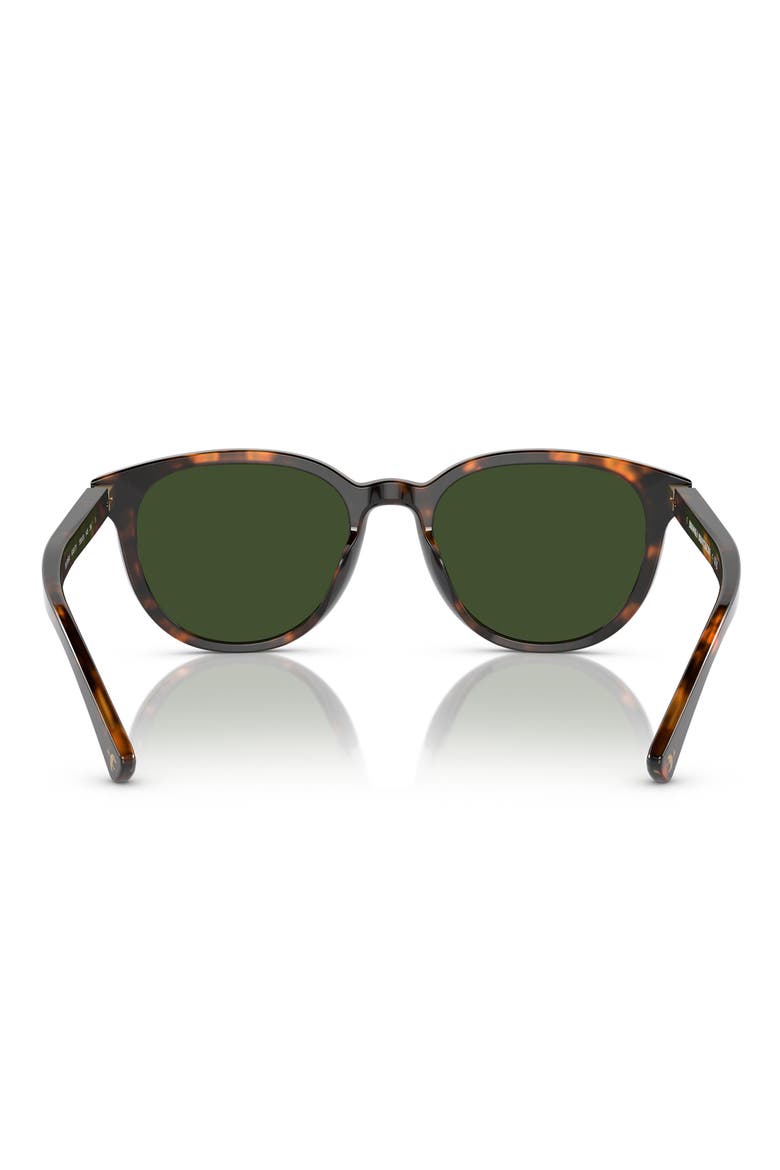 55mm Round Sunglasses, Alternate, color, WARM TORT BIO / DARK GREEN
