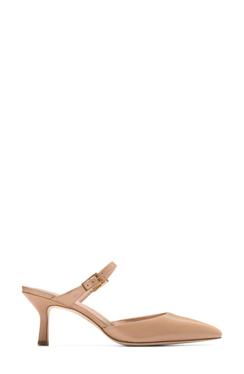 Shop Cole Haan Annalise Pointed Toe Mule
