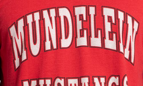 Elwood Vintage Mundelein Mustangs Tee In Multi