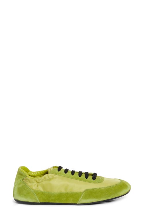 Prada Collapse Mixed Media Low Top Sneaker In Lime