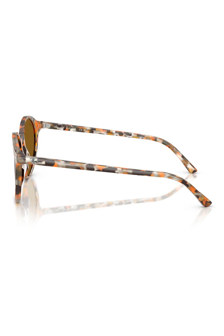 51mm Phantos Round Sunglasses, Alternate, color, HAVANA GREY E BROWN / BROWN