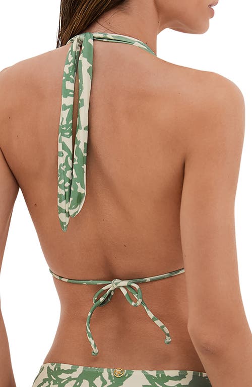 Vix Paula Hermanny Oceana Paula Triangle Bikini Top In Multi