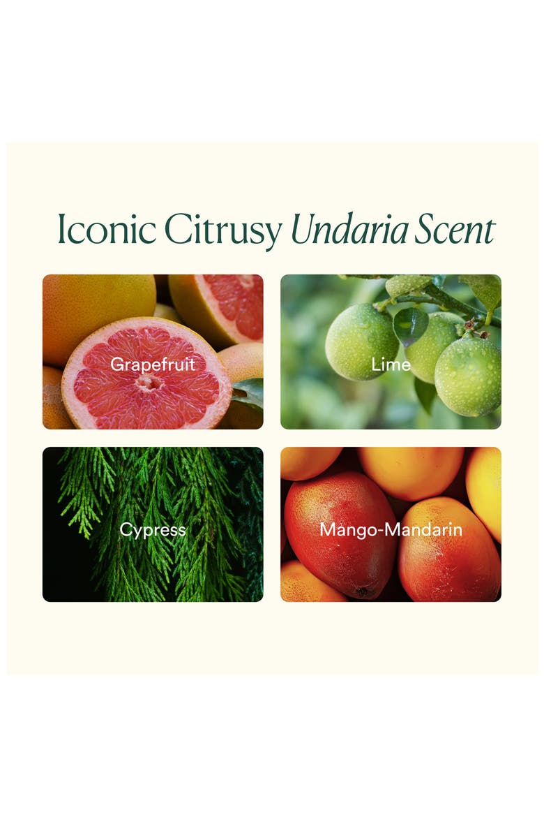 Undaria Cleansing Body Polish, Alternate, color, NO COLOR