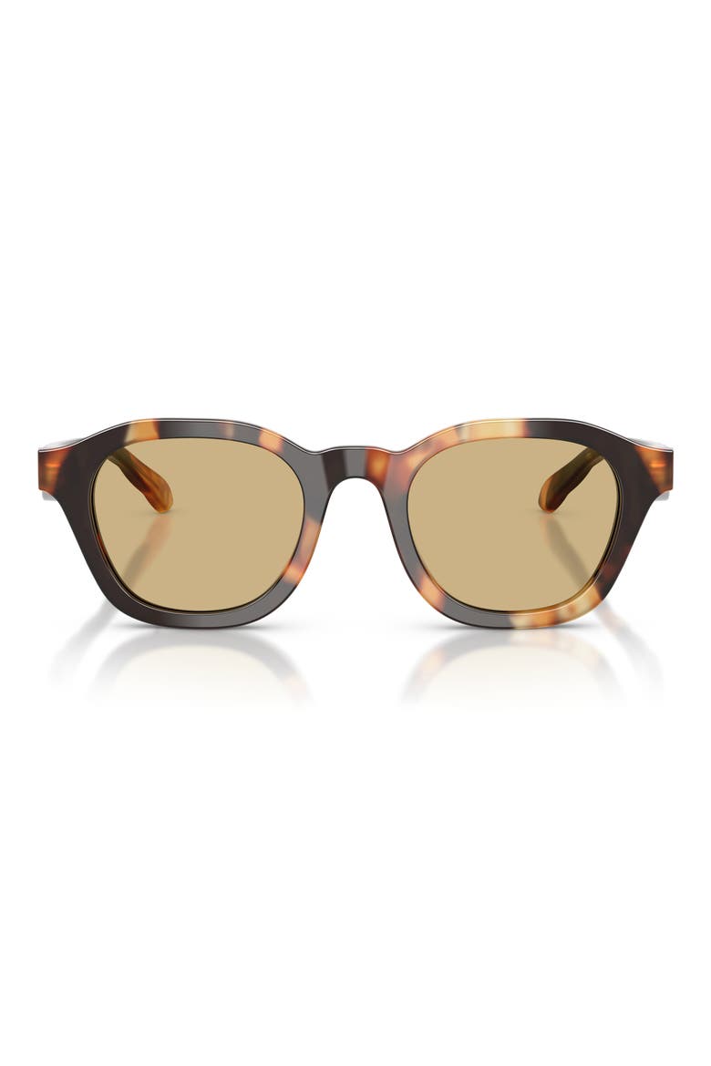 48mm Phantos Sunglasses, Main, color, CONTRAST TORTOISE / YELLOW