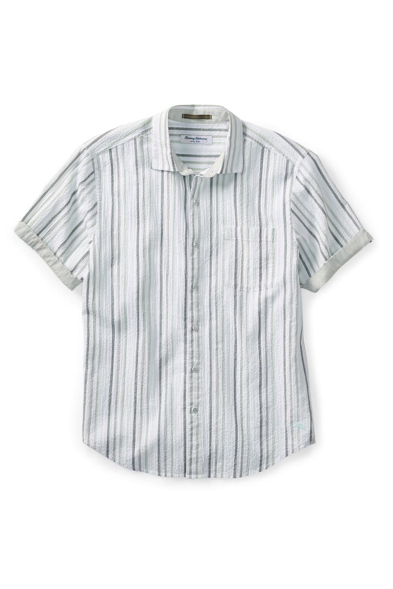 Big & Tall Nova Wave Silva Stripe Sport Shirt, Alternate, color, DUSTY SAGE