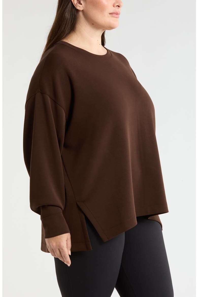 Soft Luxe Tunic, Alternate, color, BROWN MOLE