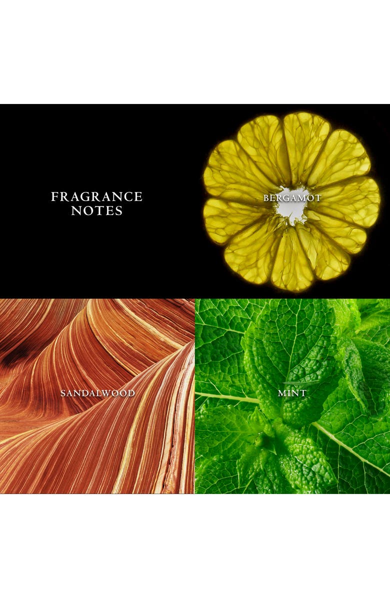 John Varvatos x Nick Jonas JVxNJ Eau de Toilette Set, Alternate, color,