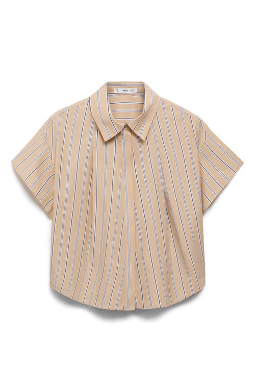Mango Stripe Short Sleeve Poplin Button-up Shirt In Brown